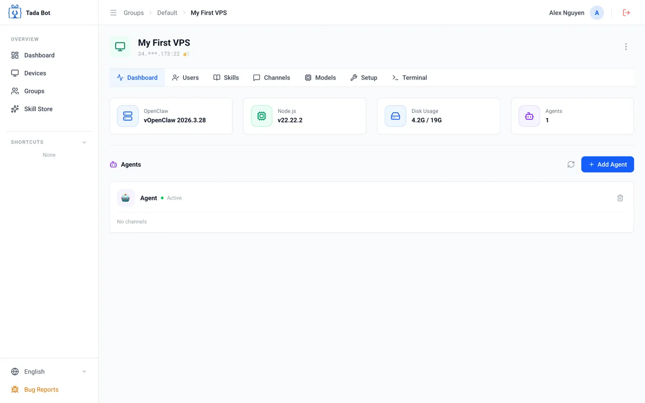 Dashboard — Agent er vist